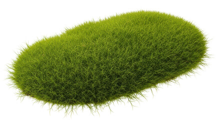 Isolated Moss