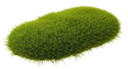 Isolated Moss