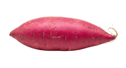 Isolated Sweet Potato