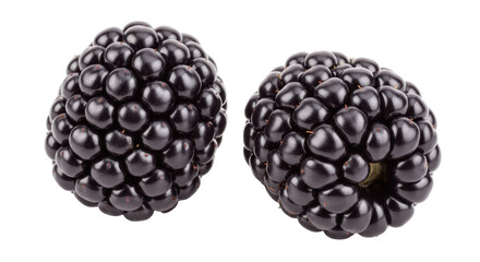 Isolated Blackberries
