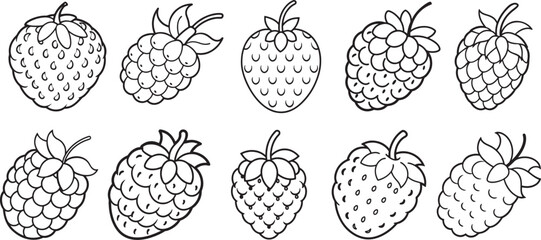 set of berry line art, coloring book page line art drawing, vector and illustration
