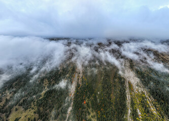 A dramatic aerial image showing a dense forest on a mountainside disappearing into a thick blanket of white clouds and fog, creating a mysterious atmosphere