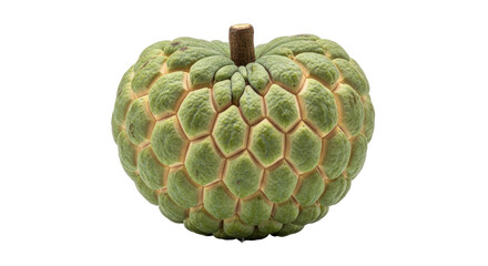Isolated Sugar Apple