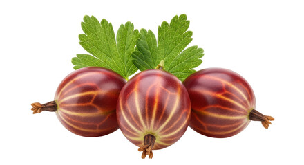 Isolated Gooseberries