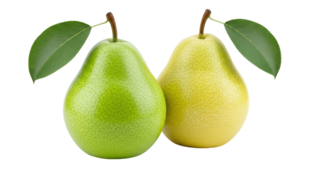 Isolated Green and Yellow Pears