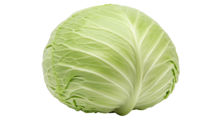 Isolated Green Cabbage