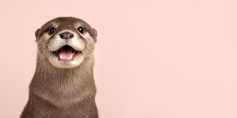 Close-up portrait of a happy otter with an open mouth. Cute young river otter on a pink background with copy space.