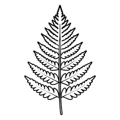 Elegant fern leaf line art on a clean white background
