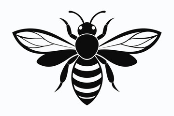 Fototapeta premium Monochrome vector drawing of a bumble bee with a minimalistic design