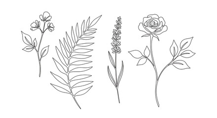 A collection of line art illustrations featuring a rose, lavender, fern, and a flowering branch design
