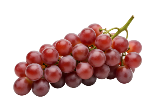 Fresh Bunch of Red Globe Grapes on Stem.