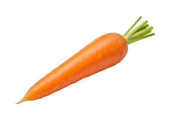 Fresh Orange Carrot with Green Stalks.