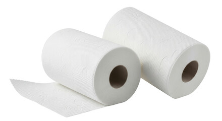 Isolated Kitchen Paper Rolls