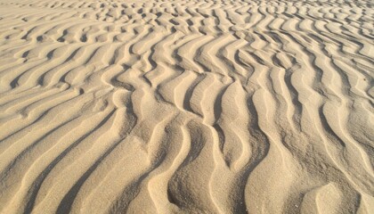 Fototapeta premium Rippled Sand Texture with Wavy Patterns on Sunny Golden Beach in Daylight