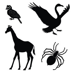 Silhouette collection of owl swan giraffe and spider on white background bird flying