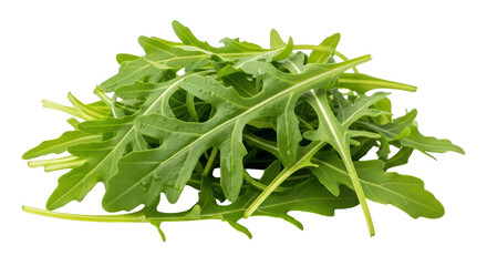Isolated Arugula
