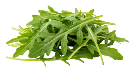 Isolated Arugula