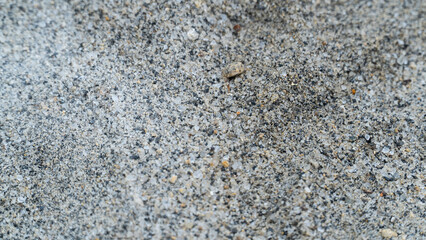 A detailed close-up, top-down view of a mixture of sand and small pebbles, forming a granular texture