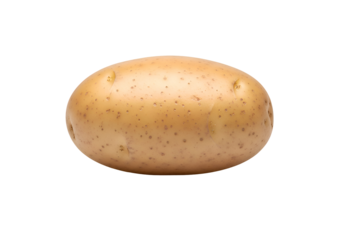 Single Raw Potato with Light Brown Skin and Eyes.