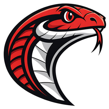 Snake head, isolated snake head logo, multicolor makes it more visible and attractive, close-up, transparent background