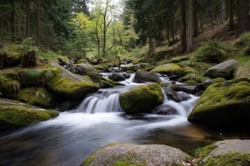 Obraz premium Tranquil stream flowing over rocks in a lush green forest