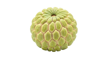 Isolated Sugar Apple