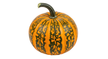 Isolated Decorative Pumpkin