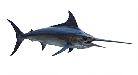 Fototapeta premium Majestic sailfish glides gracefully through ocean depths showcasing vibrant blue hues. AI Generated