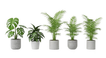 Fototapeta premium Collection of five potted indoor plants against a black background