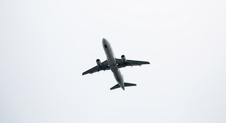 Fototapeta premium Airplane ascends powerfully against a pale overcast sky. AI Generated