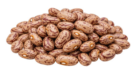 Isolated Pile of Pinto Beans