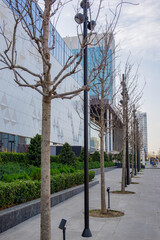 Street in Tashkent in the Delovoy district