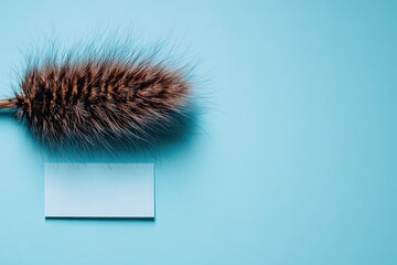 Fluffy brown plume and blank note card on a light blue background.