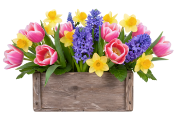 A beautiful spring floral arrangement of colorful tulips and hyacinths in a rustic wooden box. This charming and fresh centerpiece is perfect for Easter or home decor.