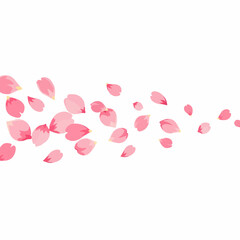 Floating Pink Cherry Blossom Petals in a Gentle Artistic Arrangement.
