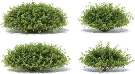 Fototapeta premium Diverse selection of lush green shrubs and vibrant plants, perfect for architectural visualization and outdoor landscaping projects.