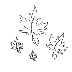 Maple Leaves Continuous Line Art Drawing for Autumn, Nature, 