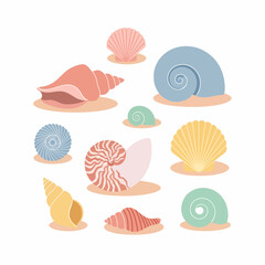 Collection of Colorful Seashells with Unique Shapes and Textures.