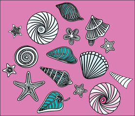 Collection of stylized seashells and starfish on pink background