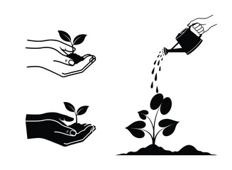 Hands holding plant seedling and watering can pouring water on plant sprout