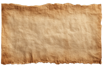 Aged, weathered parchment.  A large, rectangular sheet of paper, light tan in color, showing signs of age and wear.  Frayed edges