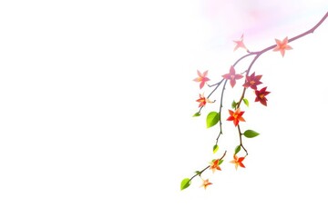 A flowering branch with red starshaped blossoms and green leaves curving down from the upper right against a bright white background
