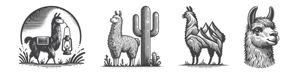 Obraz premium Vintage Hand-Drawn Llama With Cactus Illustration, Desert Animal Engraved Vector for Farm and T-Shirt Design