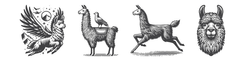 Vintage Hand-Drawn Llama Jumping Illustration, Animal Engraved Vector for Fun and T-Shirt Design