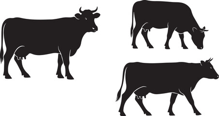 Vector art of three black cow silhouettes isolated on white background, showcasing different poses and representing farm animals, livestock, and agriculture