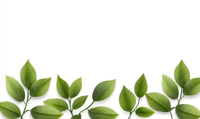 Realistic green leaves with slender stems create a border against a bright white background, casting soft shadows