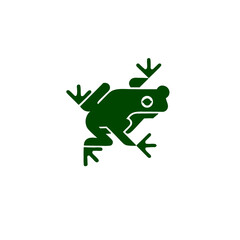 frog on white background