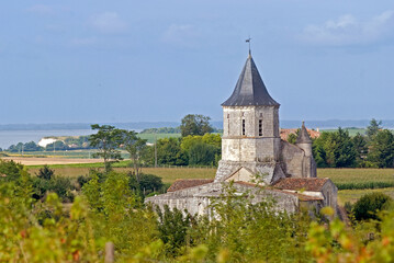 Eglise d'Arces, 17, Charente Maritime, France