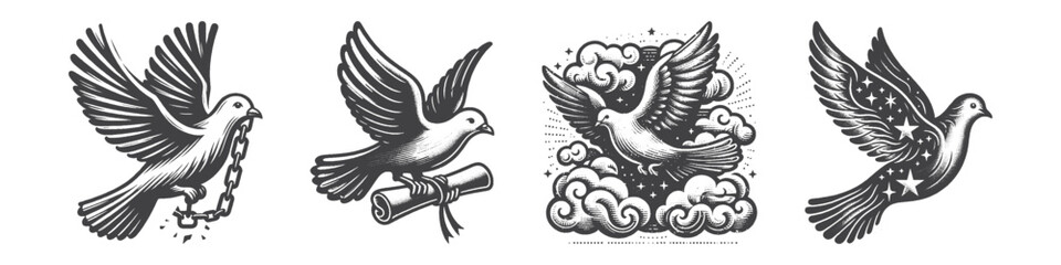 Fototapeta premium Vintage Hand-Drawn Dove With Letter Illustration, Peaceful Bird Engraved Vector for Nature and T-Shirt Design