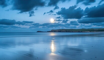 Tranquil moonlit beach scene